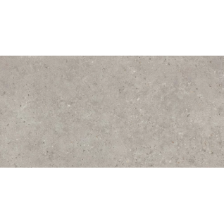 Риккарди серый светлый 60x119,5 керамический гранит матовый SG519920R