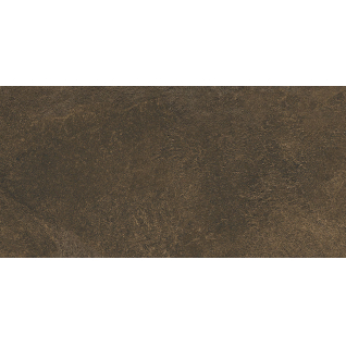 Про Стоун коричневый 30x60 керамический гранит матовый DD200220R