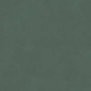 Про Чементо зеленый 60x60 керамический гранит матовый DD642120R