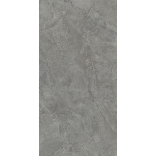 Риальто серый темный 80x160 керамический гранит матовый SG573090R