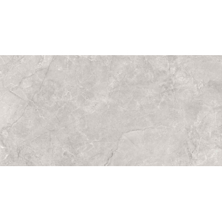 Pluto Silver серый светлый 60x119,5 керамический гранит матовый SG50005220R
