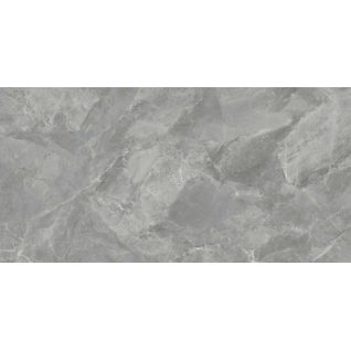 Regnum Grigio серый 60x119,5 керамический гранит матовый CR6012G0411R