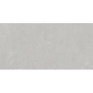 Про Фьюче серый светлый 30x60 керамический гранит матовый DD203120R