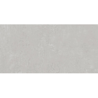 Про Фьюче серый светлый 60x119,5 керамический гранит матовый DD593120R