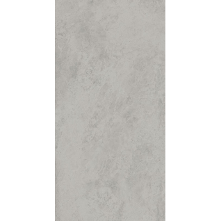 Риальто серый светлый 80x160 керамический гранит матовый SG572590R