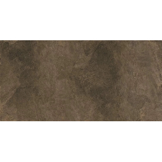 Про Стоун коричневый 60x119,5 керамический гранит матовый DD503920R