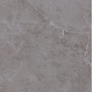 Гран Пале серый 50,2x50,2 керамический гранит матовый SG457320R