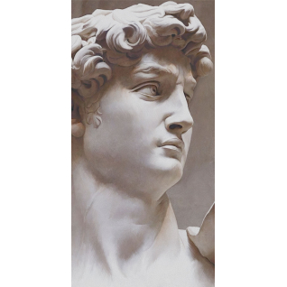  Давид 2 119,5x238,5 ковёр матовый VT\B564\SG591820R