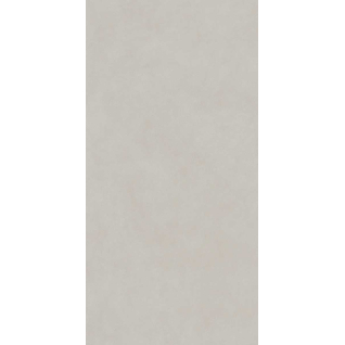 Про Чементо серый светлый 119,5x238,5 керамический гранит матовый DD590820R