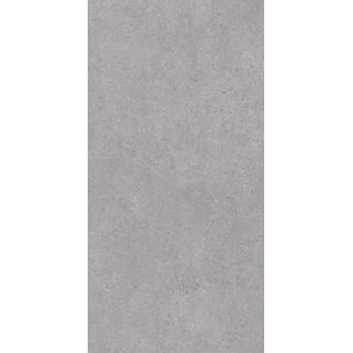 Фондамента серый светлый 119,5x238,5 керамический гранит матовый DL590020R