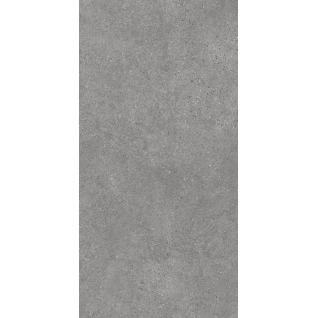 Фондамента серый 119,5x238,5 керамический гранит матовый DL590120R