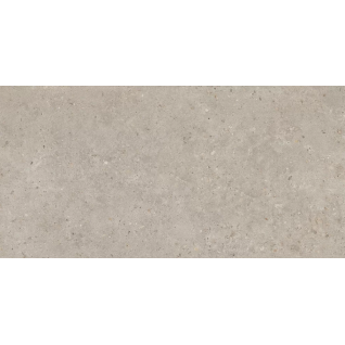 Риккарди бежевый 60x119,5 керамический гранит матовый SG540620R