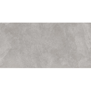 Про Стоун серый 60x119,5 керамический гранит матовый DD500220R