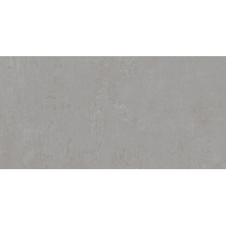 Про Фьюче серый 60x119,5 керамический гранит матовый DD593420R
