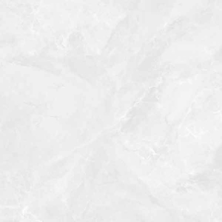 Regnum Bianco серый светлый 60x60 керамический гранит матовый CR6060G0391R