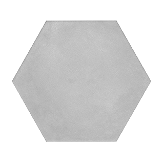 Пуату серый светлый 20x23,1 керамический гранит матовый SG23029N