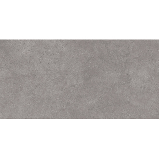 Фондамента серый 60x119,5 керамический гранит матовый DL500920R