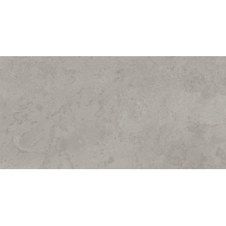 Про Лаймстоун серый 60x119,5 керамический гранит матовый DD506320R