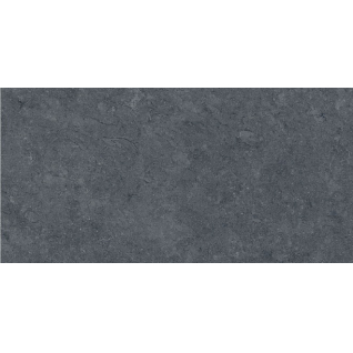 Роверелла серый темный 60x119,5 керамический гранит матовый DL501320R