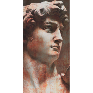  Давид 1 119,5x238,5 ковёр матовый VT\A564\SG591820R