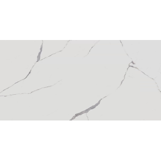 Монте Тиберио белый 80x160 керамический гранит матовый SG572190R