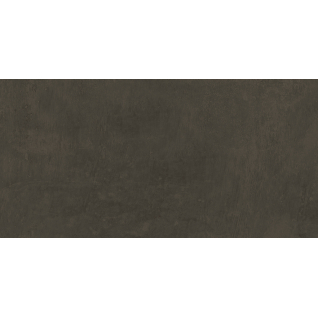 Про Фьюче коричневый 30x60 керамический гранит матовый DD202820R