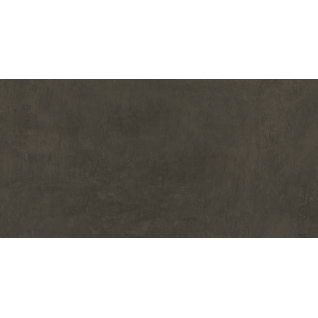 Про Фьюче коричневый 60x119,5 керамический гранит матовый DD592820R