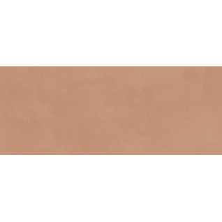 Каннареджо оранжевый 20x50 плитка матовый 7254