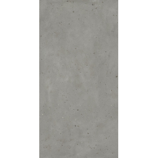 Авангард Айрон 80x160 керамический гранит натуральный 610010005700