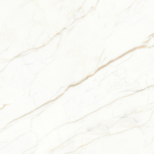 Europa Gold 60x60 керамический гранит матовый карвинг