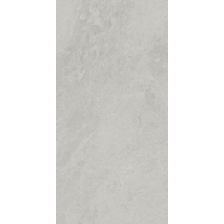 Риальто серый светлый 40x80 плитка глянцевый 48009R