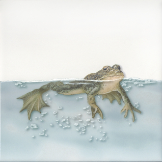 Чудо-озеро 5 20x20 декор комбинированный VT\A472\5009