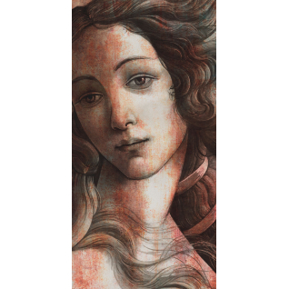  Венера 119,5x238,5 ковёр матовый VT\A563\SG591820R