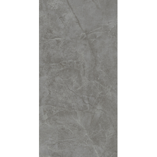 Риальто серый темный 40x80 плитка глянцевый 48021R