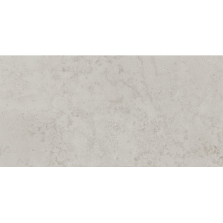 Про Лаймстоун серый светлый 60x119,5 керамический гранит матовый DD506420R