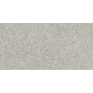 Форум Стоун Сильвер 60x120 керамический гранит натуральный 610010004168