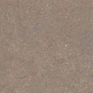 Дискавер Дезерт 60x60 керамический гранит натуральный 610010002735