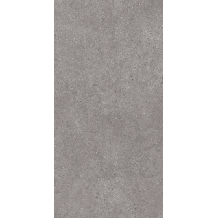 Фондамента серый 119,5x238,5 керамический гранит матовый DL590100R