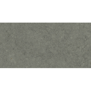 Форум Стоун Айрон 60x120 керамический гранит натуральный 610010004169