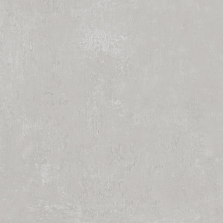 Про Фьюче серый светлый 60x60 керамический гранит матовый DD640320R