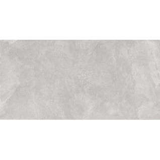 Про Стоун серый светлый 60x119,5 керамический гранит матовый DD503820R