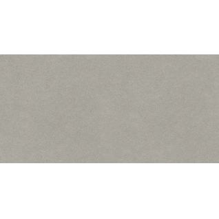 Джиминьяно серый 60x119,5 керамический гранит матовый DD519320R