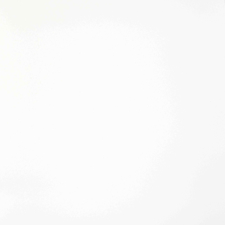 Feeria зимний белый 60x60 керамический гранит матовый GTF400M