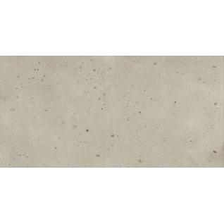 Авангард Даст 60x120 керамический гранит натуральный 610010005693