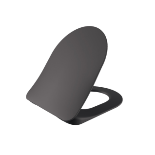 Сиденье с крышкой для унитаза Free (Duroplast, soft-close) антрацит матовый