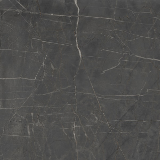 Буонарроти серый темный 60x60 керамический гранит матовый SG642920R