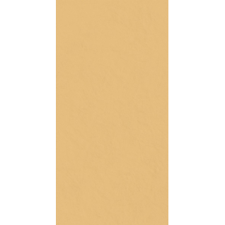 Серфейс Сан 60x120 керамический гранит патинированный