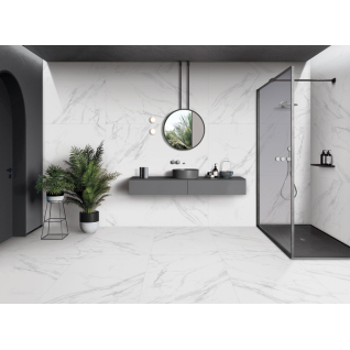 Coliseo Blanco 60x60 керамический гранит матовый