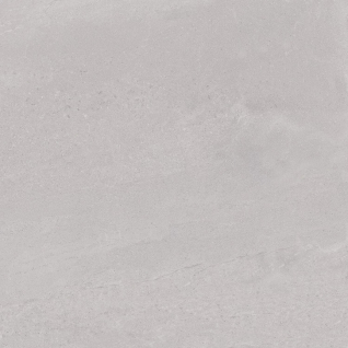 Про Матрикс серый светлый 60x60 керамический гранит матовый DD602020R