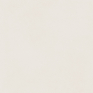 Форум Слим Полар 80x80 керамический гранит натуральный 610010004136